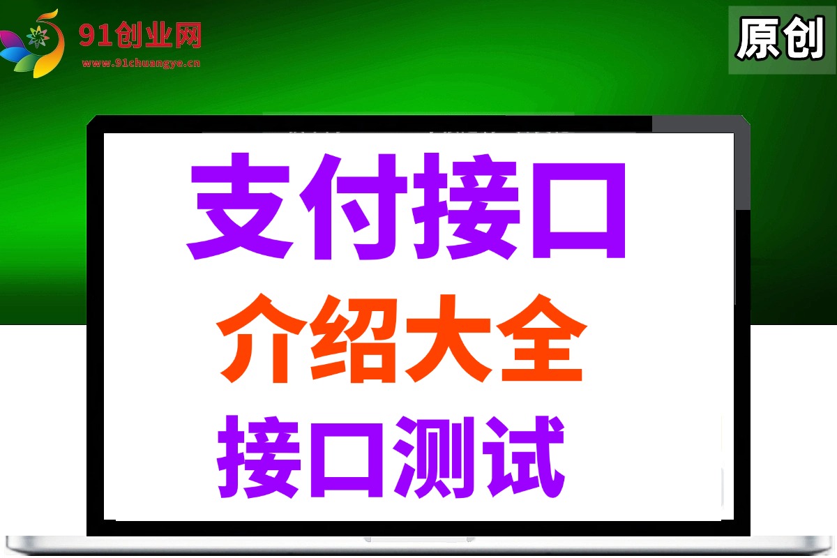 （029期）全网支付接口大全介绍，接口效果测试