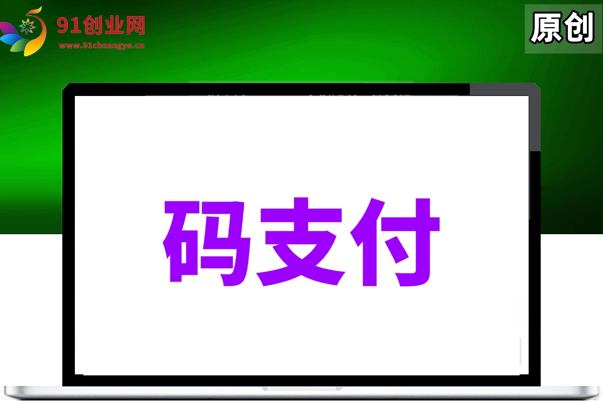 （028期）推荐一些码支付
